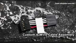 Solución personalizada de conjunto de cable de 6 hilos HX25402 6Y 50 mm