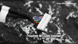 Conjunto de cables de placa adaptadora PHDR 20VS M2 personalizado