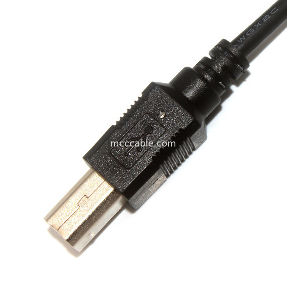 10 longitud Molex 22-55-2101 de la asamblea de cable de Molex de la echada del Pin 30AWG 2.54m m 150m m