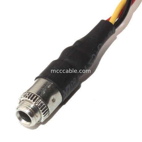 Molex 22 55 2101 conector de audio de encargo del soporte del panel de la echada 3.5m m del arnés de cable 2.54m m