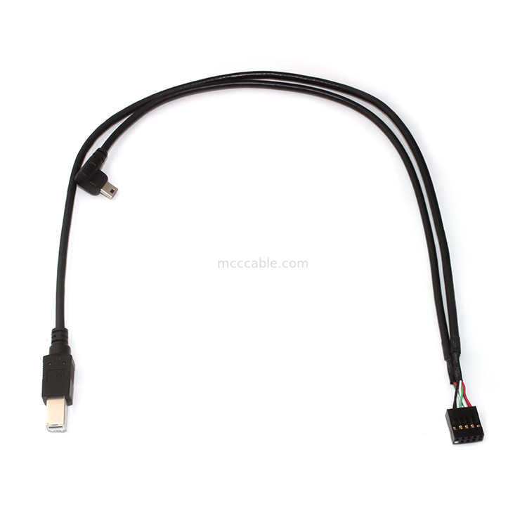 10 longitud Molex 22-55-2101 de la asamblea de cable de Molex de la echada del Pin 30AWG 2.54m m 150m m
